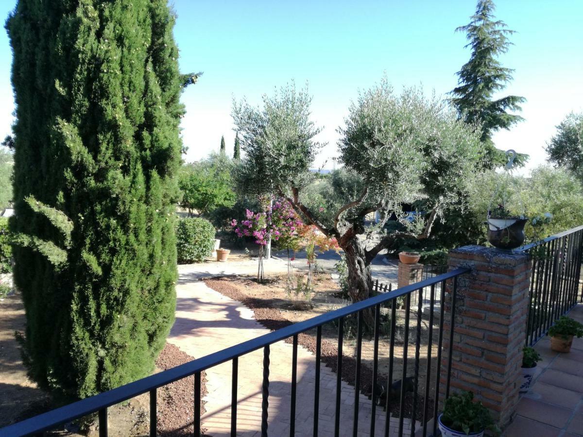 Villa Casa Rural La Amistad à Burguillos de Toledo Extérieur photo